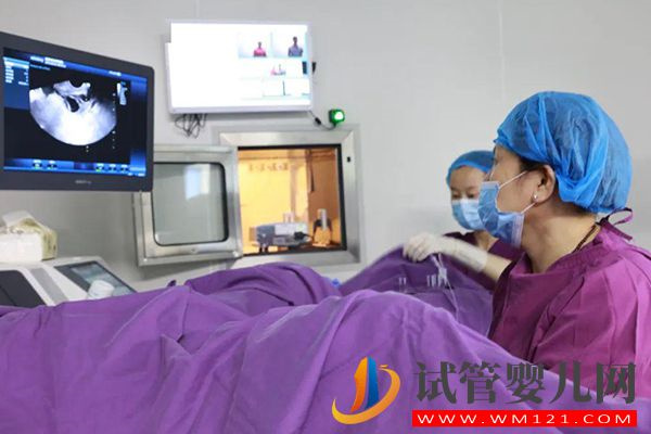 高齡女性移植胚胎數量與年齡有關，附成功經驗值得參考(圖2)