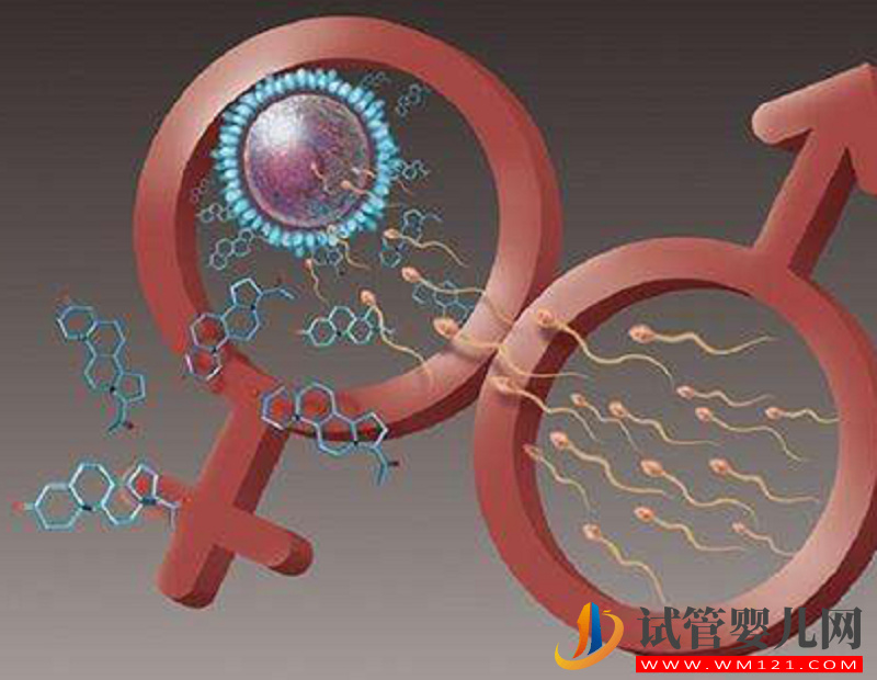 男性試管期吃精氨酸好處真不少，幫你成功助孕(圖2)