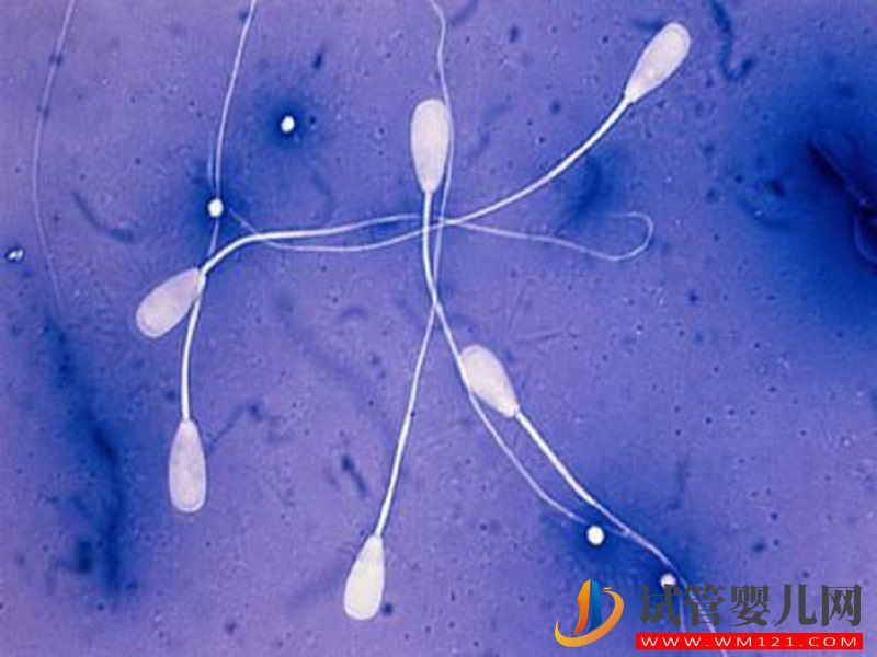 30歲做第二代試管嬰兒的優缺點是什么？(圖3)