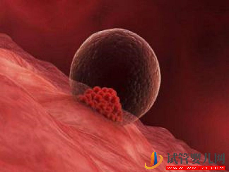詳解第四代試管的流程，細節(jié)操作你好奇不(圖2)