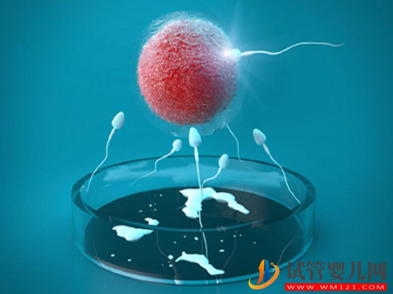 詳解第四代試管的流程，細節(jié)操作你好奇不(圖4)