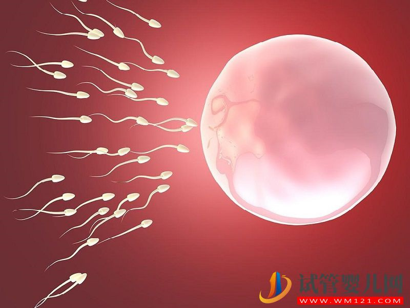 國外第四代試管嬰兒的成功率可以達到多少？(圖2)