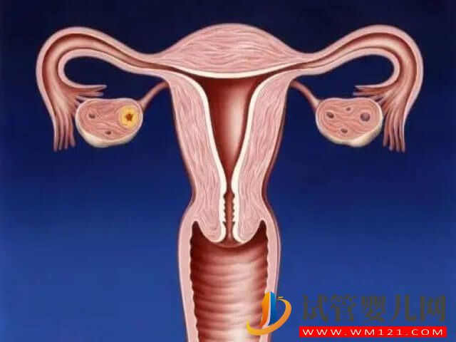 注射一個周期的降調針會不會使卵巢功能下降？(圖1)