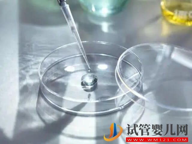 第三代試管輔助生殖技術的優點和缺點各有哪些？(圖2)