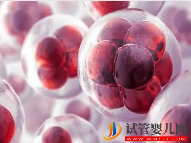 試管移植囊胚兩次都失敗第三次成功機會大嗎？(圖1)