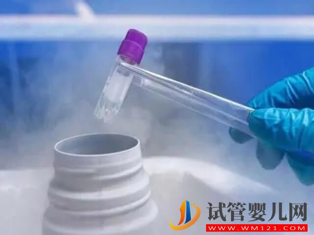 試管剩余的冷凍胚胎可以從醫院取出來嗎？(圖1)