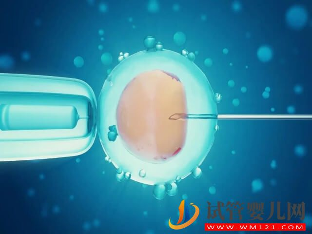 試管促排后一次性就取卵13個(gè)的成功率怎樣？(圖1)