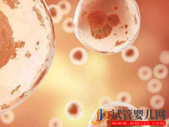 試管攢胚胎和移植先后順序盤點，看完其中緣由就知怎么選擇(圖2)