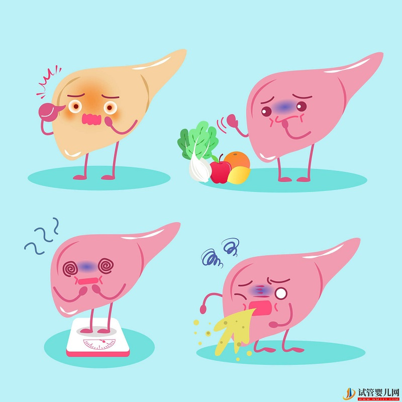 天津12家試管嬰兒醫院排名、成功率與費用是否醫保報銷？(圖2)