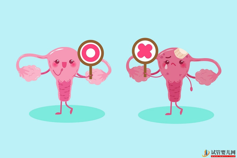 天津12家試管嬰兒醫院排名、成功率與費用是否醫保報銷？(圖3)