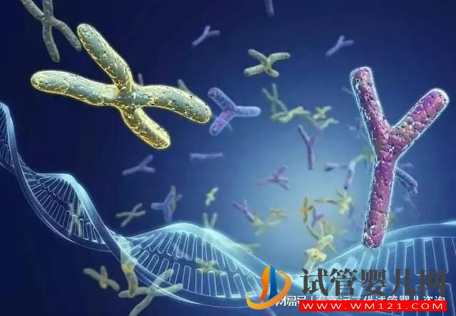 第三代試管嬰兒技術核心“PGT”(圖2)