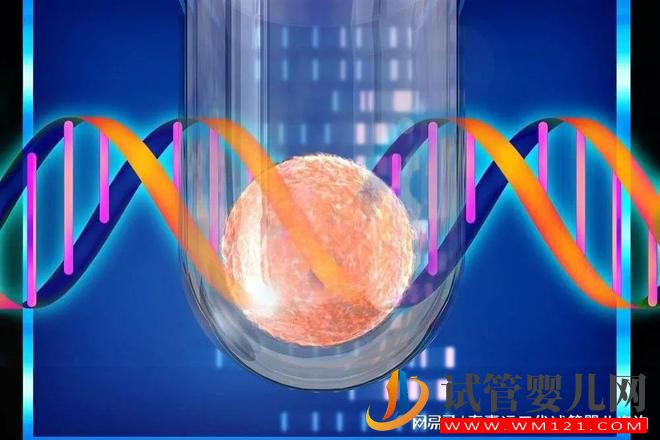 第三代試管嬰兒技術核心“PGT”(圖4)