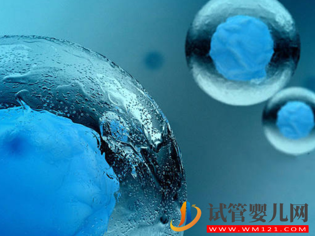 盲目凍卵對身體危害真不小，其中利弊提前知道好做正確選擇(圖2)