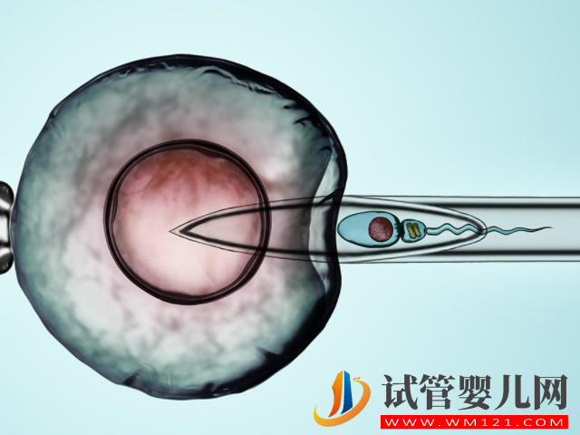 正規三代供卵試管成功案例分享，附我手術全過程及費用明細(圖1)