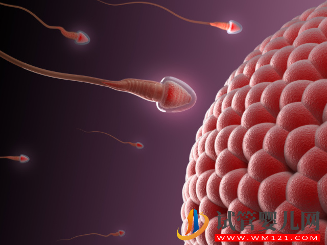 精子和卵子不受精生小孩希望渺茫，簡單2招幫你提升幾率(圖1)