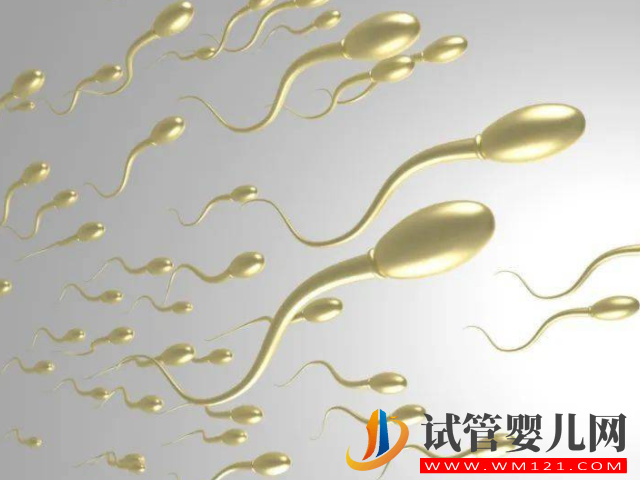 精子和卵子不受精生小孩希望渺茫，簡單2招幫你提升幾率(圖2)