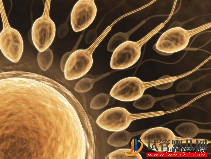 做試管嬰兒前期需要做些什么準備(圖3)