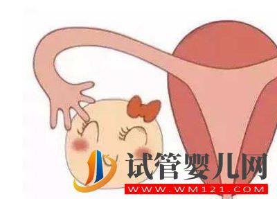 做試管嬰兒需要多少卵子？是越多越好嗎？(圖1)