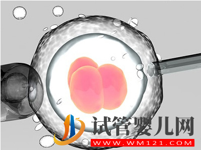 試管嬰兒胚胎移植成功后為什么要吃保胎藥？(圖1)
