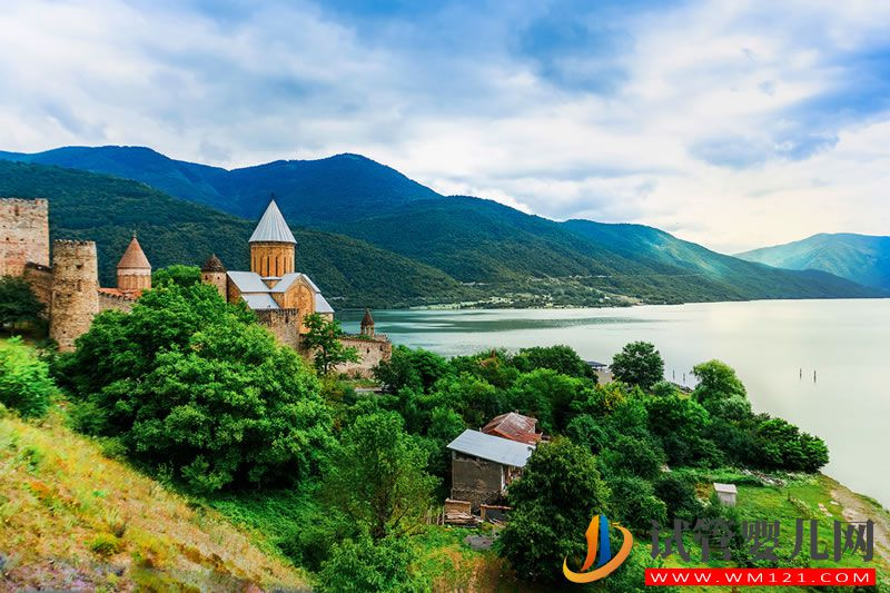 我的格魯吉亞試管嬰兒經歷8---接娃路(上)(圖1)