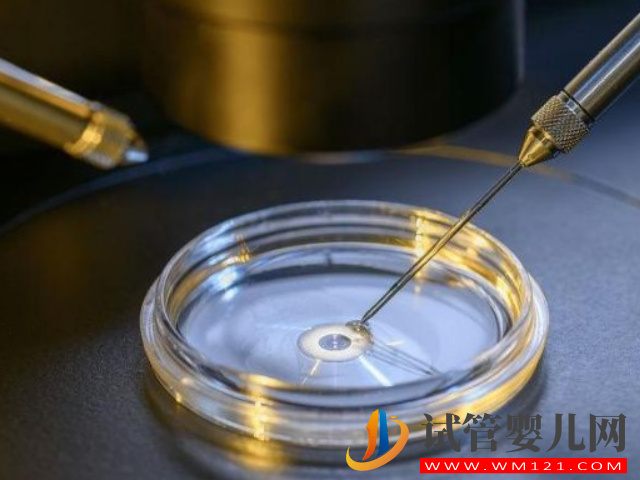 無精癥做二代試管成功案例分享，從“一無所有”到“無中生有“(圖3)