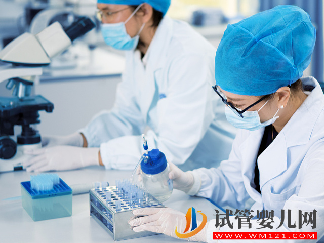 國內(nèi)國外三代試管性別選擇費用詳解，幾萬到幾十萬不等(圖2)