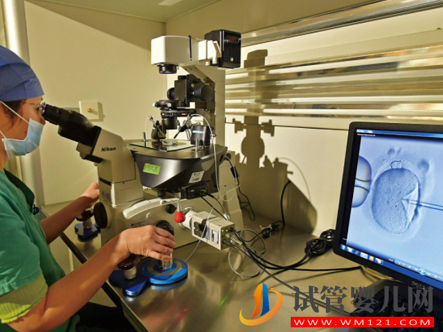 三代試管嬰兒全過程詳解，一切順利的話僅需2個月(圖1)