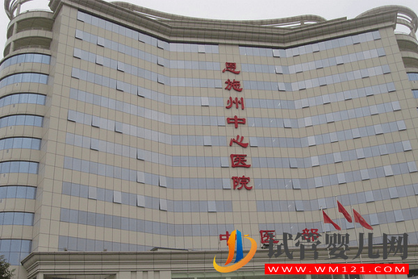 恩施試管嬰兒醫院排名，助孕花費明細表及成功率公布(圖2)