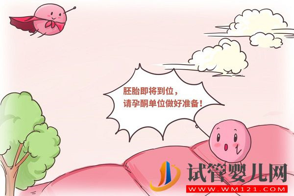 西安交大一附院試管嬰兒費用表，助孕全過程花費公開(圖3)