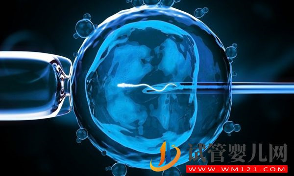 les美國合法做試管全攻略一覽，流程、費用這里都有！(圖4)