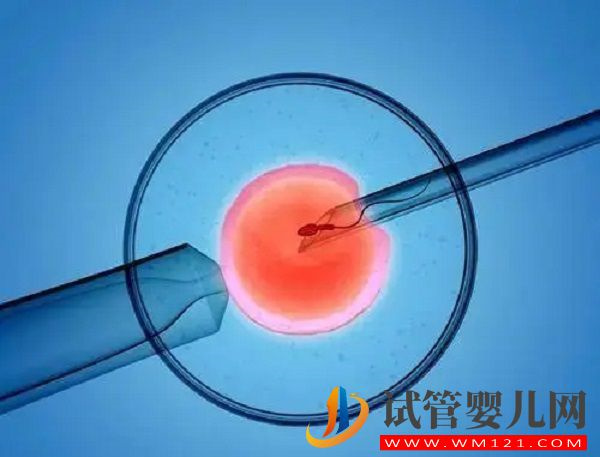 蘭州940醫院試管嬰兒費用表(圖2)