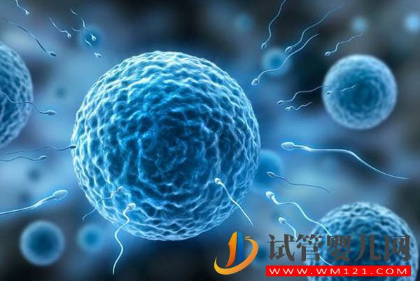 徐州市中醫(yī)院試管嬰兒價(jià)格參考(圖2) 徐州市中醫(yī)院試管嬰兒價(jià)格參考(圖2)
