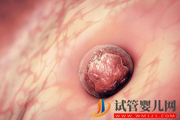 別問移植凍胚成功關(guān)鍵在第幾天，第二天著床才最關(guān)鍵(圖2)