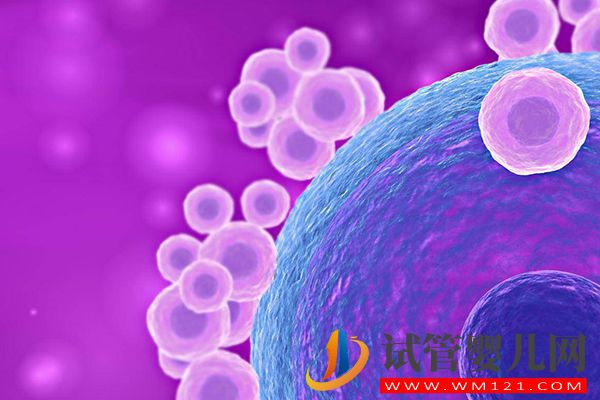 原始卵泡和始基卵泡的區別有4點，發育時間和結構都不一樣(圖1)