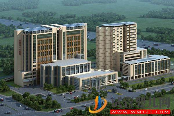 邯鄲生殖醫院成功率排名參考 (圖3)