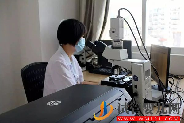 人工受孕精子挑選方法有2種，可直接打到宮頸進行助孕(圖1)