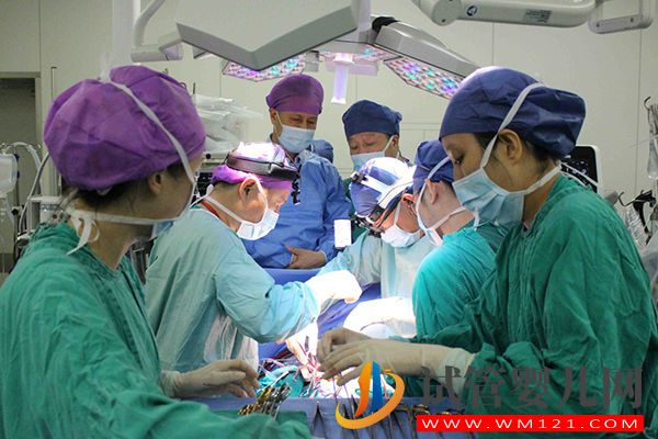 借卵做試管嬰兒費(fèi)用明細(xì)表，用別人卵泡做試管原來這個價(圖1)