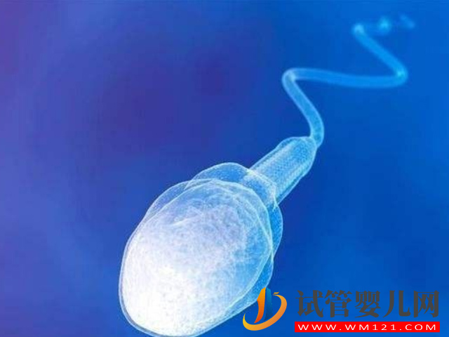 泰國的hiv精子洗滌技術是什么？(圖1)