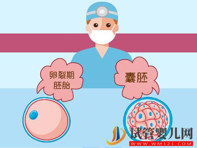 金華哪家公立三甲醫院可以做養囊試管？(圖2)