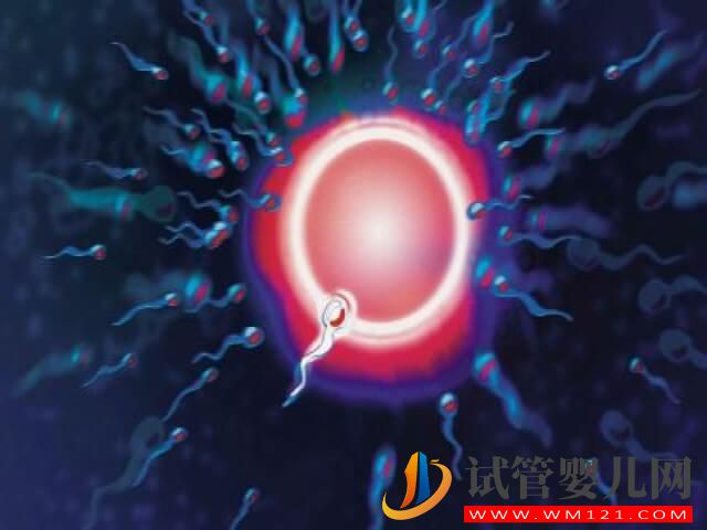 杭州做試管嬰兒選擇婦幼保健院還是邵逸夫好?(圖1) 杭州做試管嬰兒選擇婦幼保健院還是邵逸夫好?(圖1)