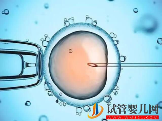 河南信陽有提供試管嬰兒輔助生殖技術(shù)嗎？(圖1)