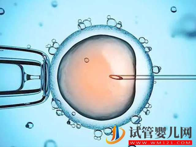 衡水衛(wèi)校試管嬰兒技術(shù)成功率真的很高嗎？(圖1)