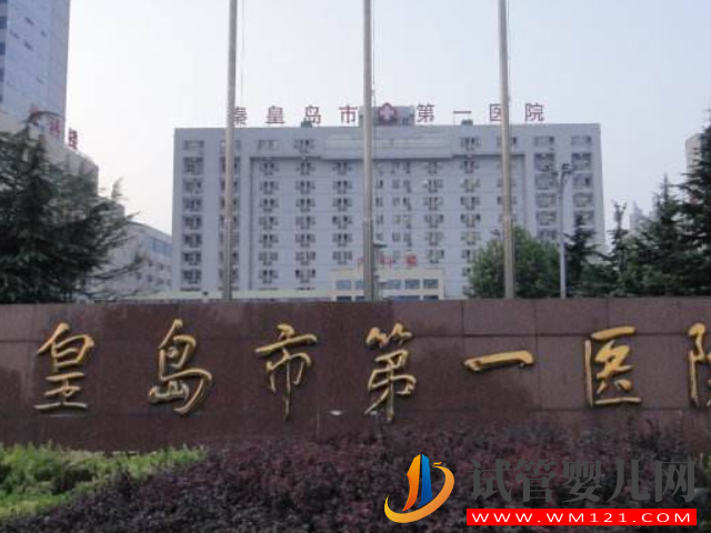 秦皇島市婦幼保健院是秦皇島最好的試管醫院嗎？(圖2)