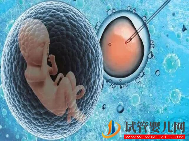 40歲高齡在唐山做一次供卵試管的成功率大概有多少？(圖1)