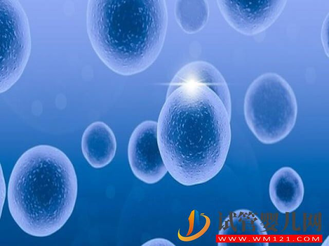 濰坊附屬3代試管的總費用是多少？(圖1)