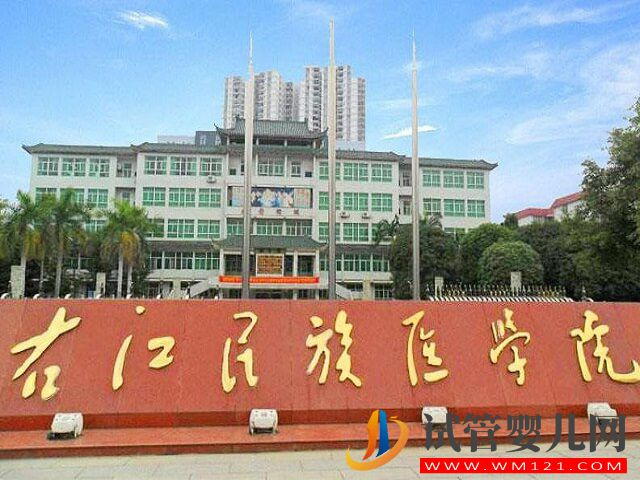 百色附屬醫院生殖中心有提供試管助孕技術嗎？(圖1)