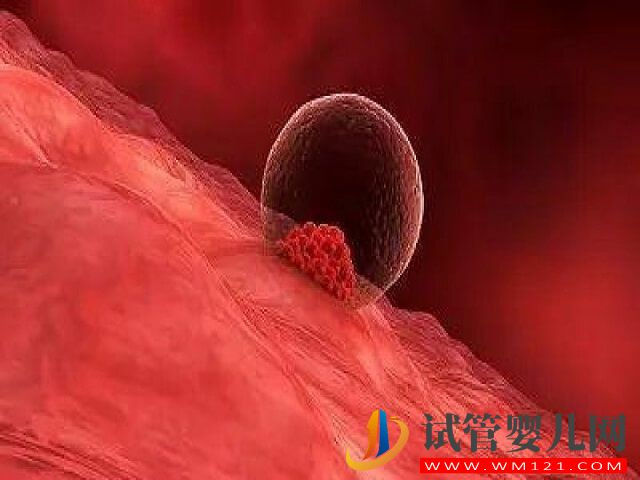 南寧青秀區有做三代試管的醫院嗎？(圖2)