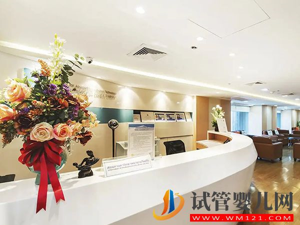 去泰國做試管嬰兒前要了解的相關內容(圖3)