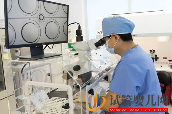 三代試管移植前有4項(xiàng)準(zhǔn)備,做PGD篩查可降患兒出生率(圖1) 三代試管移植前有4項(xiàng)準(zhǔn)備,做PGD篩查可降患兒出生率(圖1)
