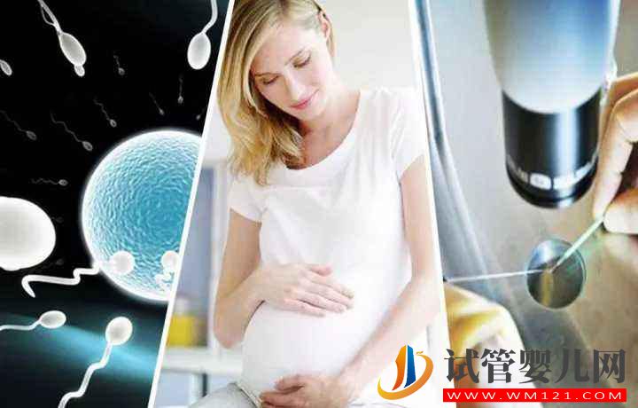 試管嬰兒一次成功的幾率有多少？情緒的好壞對成功率會不會有決定性的影響？(圖1)